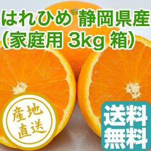 はれひめ 静岡県産 産地直送 送料無料 家庭用3kg箱 みかん オレンジ 柑橘｜tms4