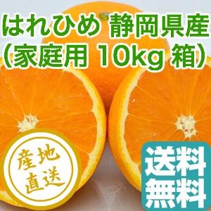 はれひめ 静岡県産 産地直送 送料無料 家庭用10kg箱 みかん オレンジ 柑橘｜tms4