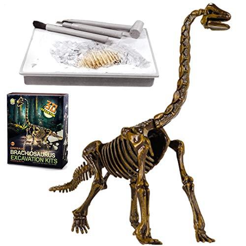 UTST 恐竜化石発掘 おもちゃ 発掘キット 恐竜の骨 (Brachiosaurus)