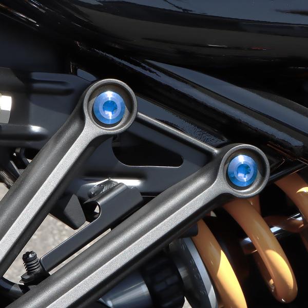 TECH-MASTER (テックマスター) Z900RS / CAFE 64チタン リアステップ用ボ...