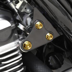 z900rs チタンブレーキディスクボルト　1台分１４本 Amazon.co.jp: チタンボルト Z900/Z900RS/カフェ/SE専用