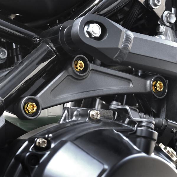 TECH-MASTER (テックマスター) Z900RS / CAFE 64チタン リアエンジンマウ...