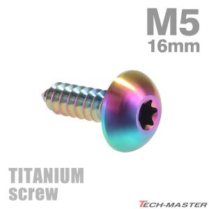 チタンネジ M5×16mm タッピングビス トルクス穴付き レインボーカラー 1個 JA099｜tmst