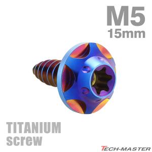 チタンネジ M5×15mm タッピングビス トル...の商品画像
