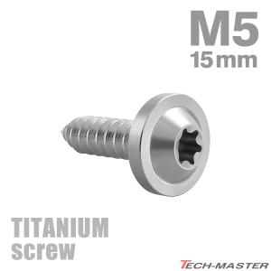 チタンネジ M5×15mm タッピングビス トルクス穴付き シルバーカラー 1個 JA1253