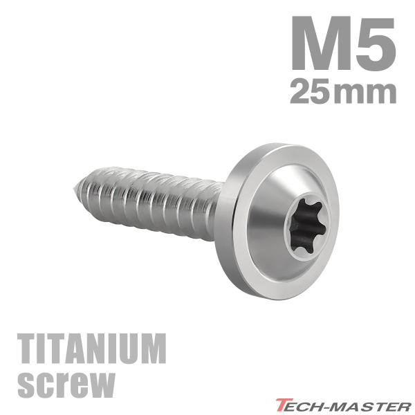 チタンネジ M5×25mm タッピングビス トルクス穴付き シルバーカラー 1個 JA1274