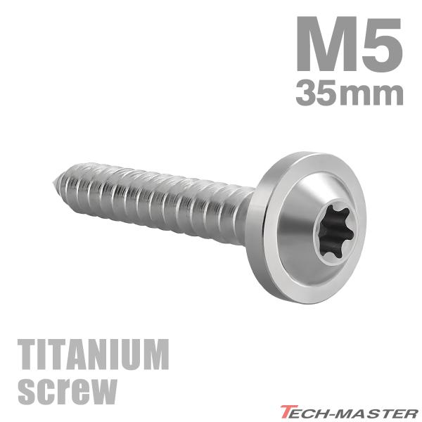 チタンネジ M5×35mm タッピングビス トルクス穴付き シルバーカラー 1個 JA1288