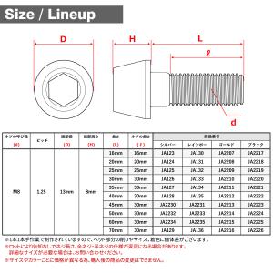 チタンボルト M8×40mm P1.25 テー...の詳細画像4
