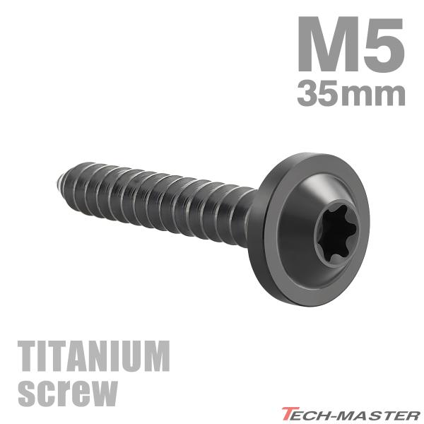 チタンネジ M5×35mm タッピングビス トルクス穴付き ブラック 1個 JA1294