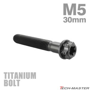 TECHーMASTER（テックマスター） チタンボルト M7×20mm P1.0