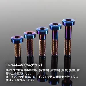 チタンボルト M8×20mm P1.25 低頭...の詳細画像1