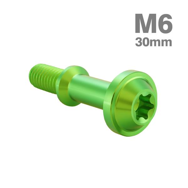 チタンボルト シグナス4-5代目 FORCE BW'S CVTケースカバーボルト M6×30mm ヤ...