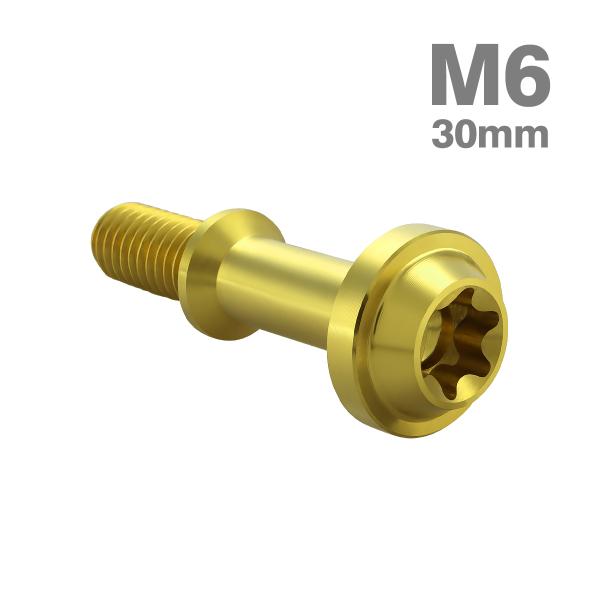 チタンボルト シグナス4-5代目 FORCE BW'S CVTケースカバーボルト M6×30mm ヤ...