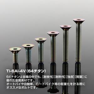 チタンボルト M5×20mm P0.8 皿ボル...の詳細画像1