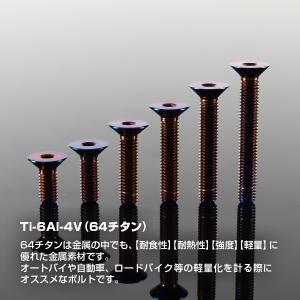 チタンボルト M5×30mm P0.8 皿ボル...の詳細画像1