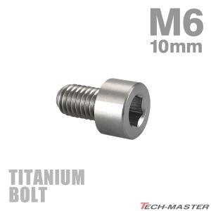 チタンボルト M6×10mm P1.0 キャップボルト スリムヘッド 六角穴付き シルバーカラー 1個 JA1909｜tmst