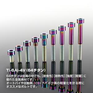 チタンボルト M6×15mm P1.0 ストレ...の詳細画像1