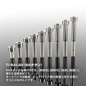 チタンボルト M6×20mm P1.0 ストレ...の詳細画像1
