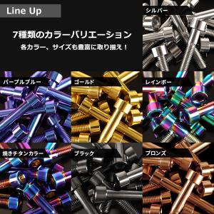 チタンボルト M6×20mm P1.0 ストレ...の詳細画像3