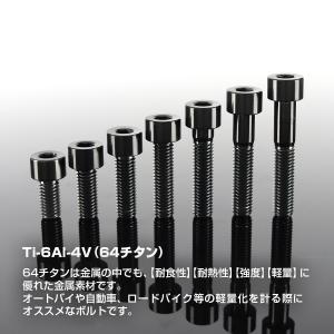 チタンボルト M8×15mm P1.25 スト...の詳細画像1
