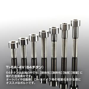 チタンボルト M8×20mm P1.25 スト...の詳細画像1