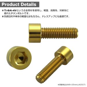 チタンボルト M8×20mm P1.25 スト...の詳細画像1