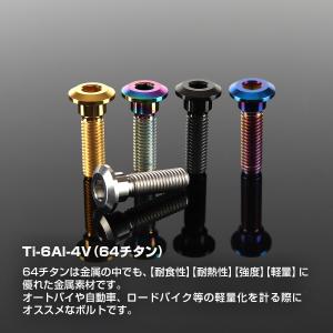 64チタン ブレーキディスク ローター ボルト...の詳細画像2