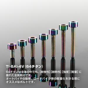 チタンボルト M3×10mm P0.5 キャッ...の詳細画像1