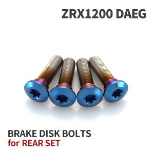 TECHーMASTER（テックマスター） ZRX1200ダエグ ZRX1200 DAEG 64チタン