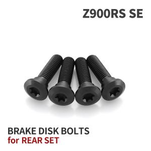 z900rs チタンブレーキディスクボルト　1台分１４本 Amazon.co.jp: チタンボルト Z900/Z900RS/カフェ/SE専用