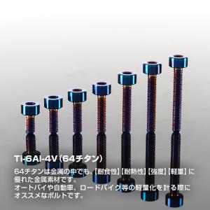 チタンボルト M3×10mm P0.5 キャッ...の詳細画像1