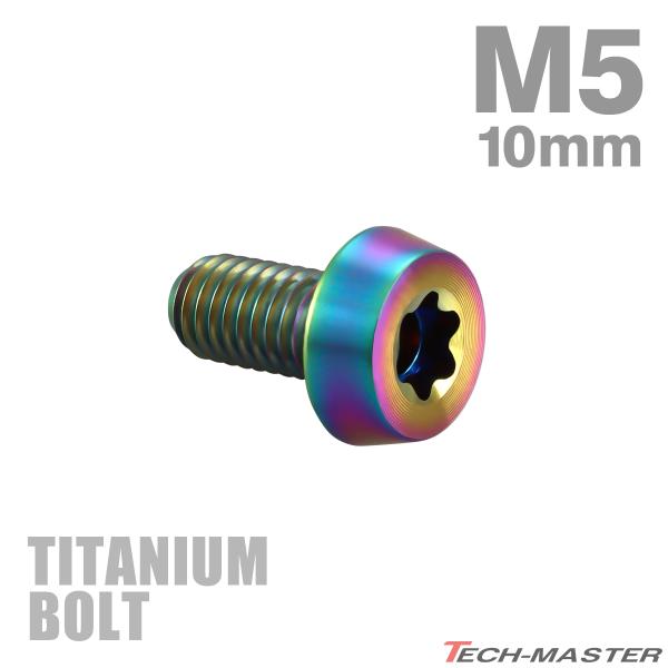 チタンボルト M5×10mm P0.8 低頭 テーパーヘッド トルクス穴付き キャップボルト レイン...