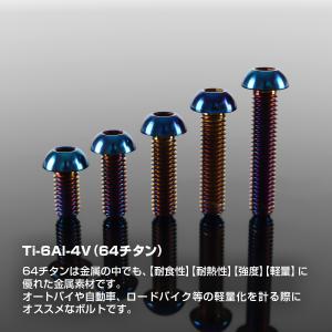チタンボルト M6×20mm P1.0 トラス...の詳細画像1