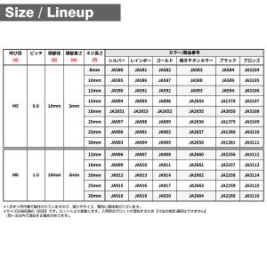 チタンボルト M6×20mm P1.0 トラス...の詳細画像5