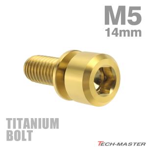 チタンボルト M5×14mm P0.8 ワッシャー組込 六角穴付き キャップボルト ゴールドカラー 金色 1個 JA307｜tmst