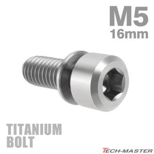 チタンボルト M5×16mm P0.8 ワッシャー組込 ステムボルト 六角穴付き シルバーカラー 素地 1個 JA309｜tmst