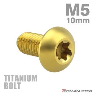 チタンボルト M5×10mm P0.8 トラスヘッド トルクス穴付き ゴールド 1個 JA461｜tmst