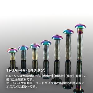 チタンボルト M5×10mm P0.8 トラス...の詳細画像1