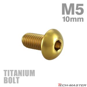チタンボルト M5×10mm P0.8 トラスヘッド 六角穴付き ゴールドカラー 1個 JA587