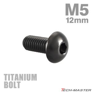 チタンボルト M5×12mm P0.8 トラスヘッド 六角穴付き ブラック 1個 JA594