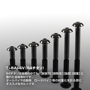 チタンボルト M5×12mm P0.8 トラス...の詳細画像1