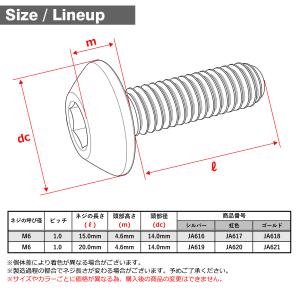 チタンボルト M6×20mm P1.0 テーパ...の詳細画像1