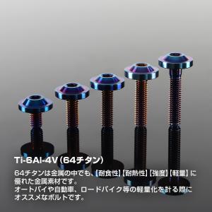 チタンボルト M6×20mm P1.0 トルク...の詳細画像1