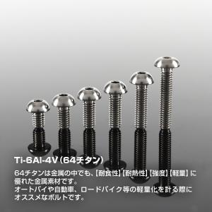 チタンボルト M4×20mm P0.7 トラス...の詳細画像1