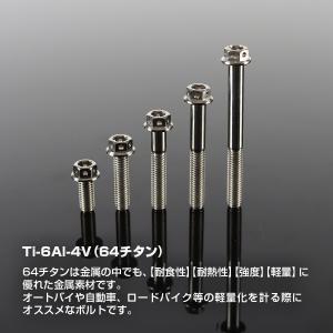 チタンボルト M6×20mm P1.0 六角ボ...の詳細画像1