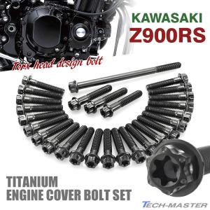 カワサキ ニンジャ1000/SX Ninja エンジンカバー クランクケース