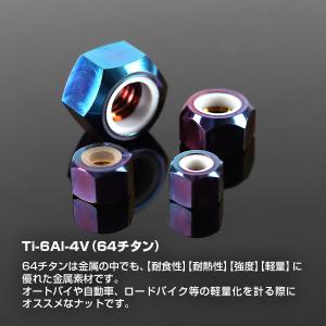 チタンナット M5 P0.8 六角ナット ナイ...の詳細画像1