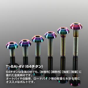 チタンボルト M6×12mm P1.0 テーパ...の詳細画像1