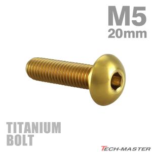 チタンボルト M5×20mm P0.8 トラスヘッド 六角穴付き ゴールド 1個 JA899
