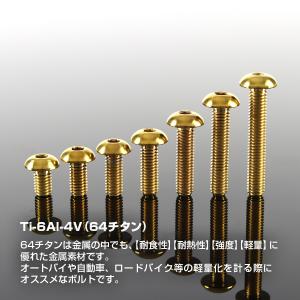 チタンボルト M5×20mm P0.8 トラス...の詳細画像1